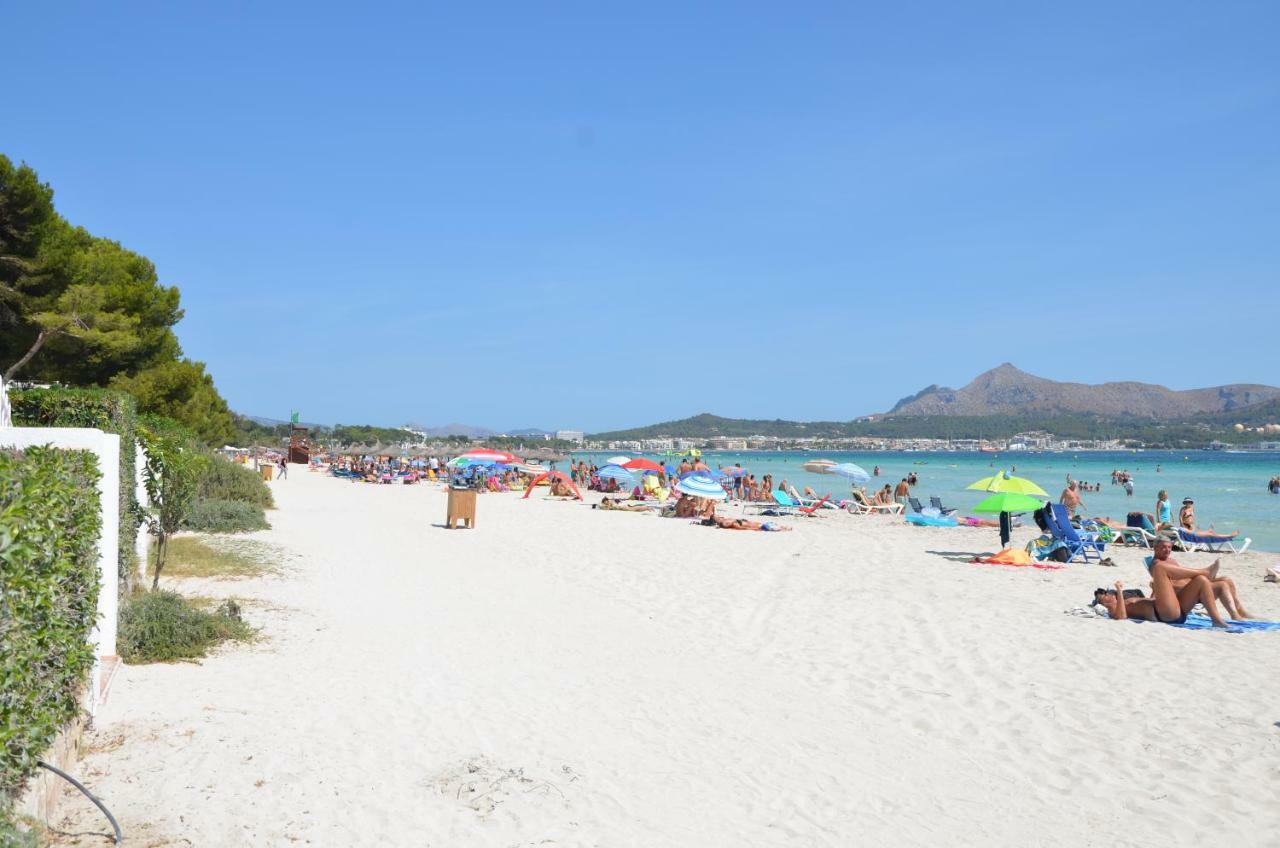 Carrasqueta Port de Alcudia (Mallorca)